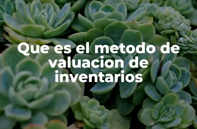 Que es el Metodo de Valuacion de Inventarios