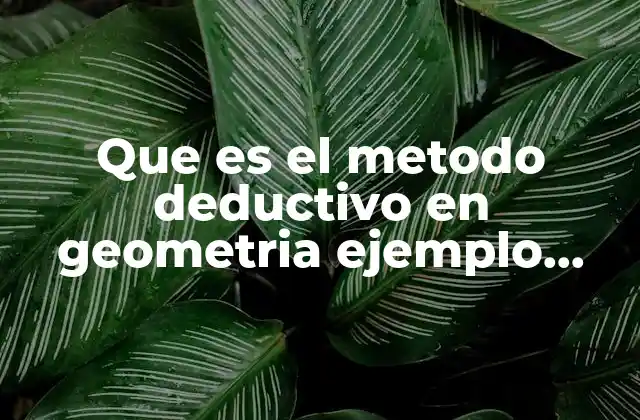 Que es el Metodo Deductivo en Geometria Ejemplo Yahoo