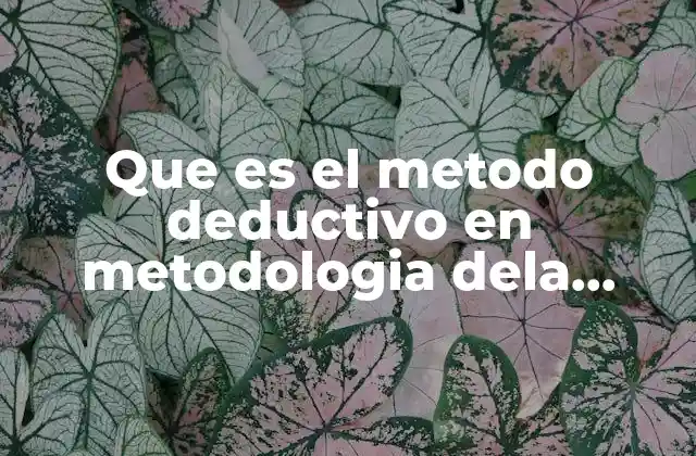 Que es el Metodo Deductivo en Metodologia Dela Investigacion