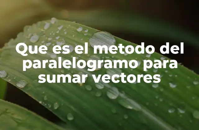 Que es el Metodo Del Paralelogramo para Sumar Vectores 2 La importancia de los métodos gráficos en la suma de vectores