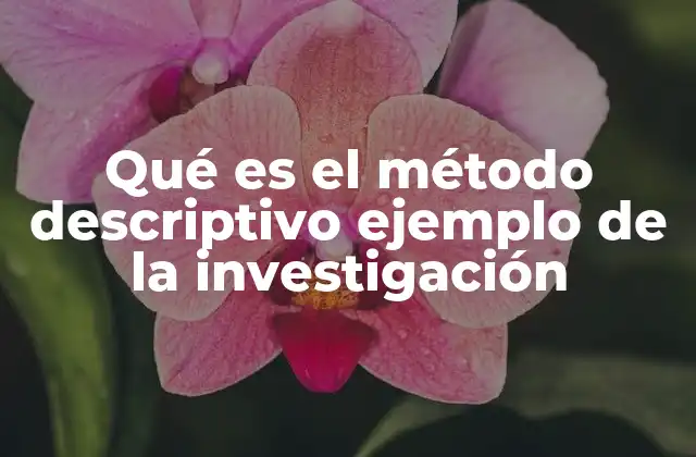 Qué es el Método Descriptivo Ejemplo de la Investigación