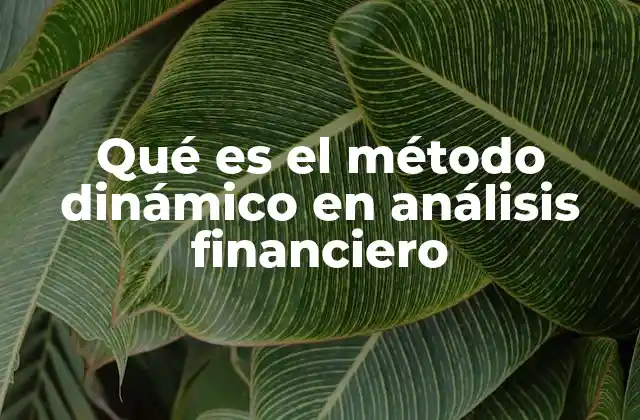 Qué es el Método Dinámico en Análisis Financiero