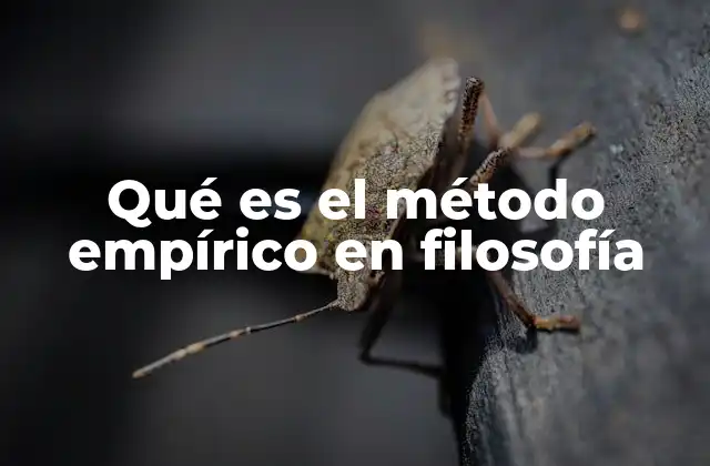 Qué es el Método Empírico en Filosofía