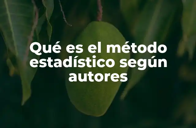 Qué es el Método Estadístico según Autores