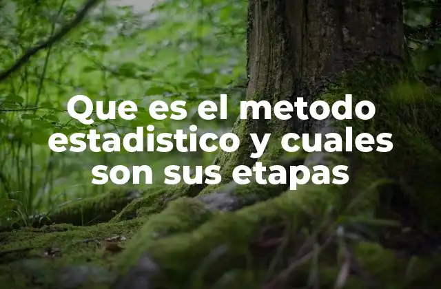 Que es el Metodo Estadistico y Cuales Son Sus Etapas