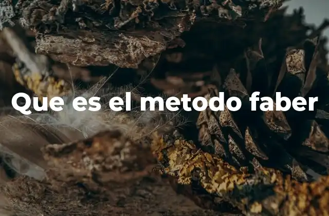 Que es el Metodo Faber