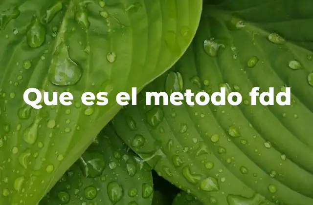 Que es el Metodo Fdd