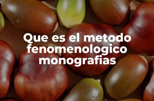 Que es el Metodo Fenomenologico Monografias