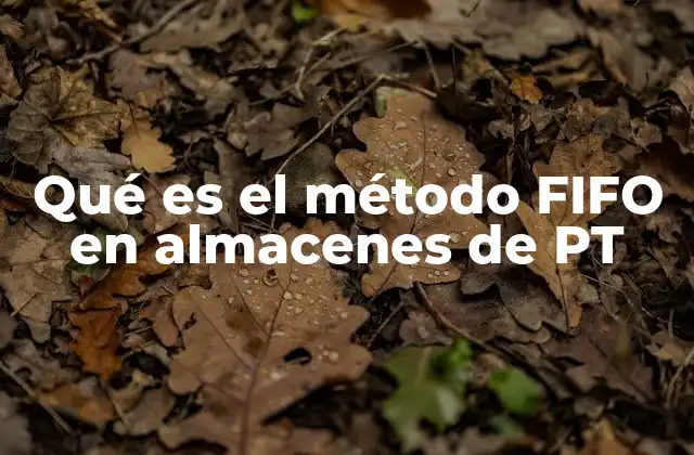 Qué es el Método Fifo en Almacenes de Pt