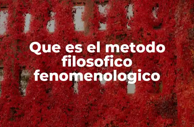 Que es el Metodo Filosofico Fenomenologico