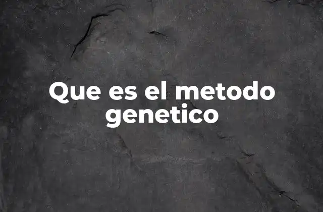 Que es el Metodo Genetico