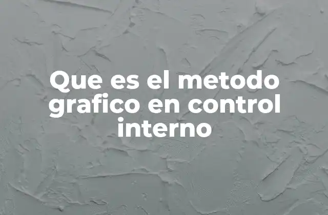 Que es el Metodo Grafico en Control Interno