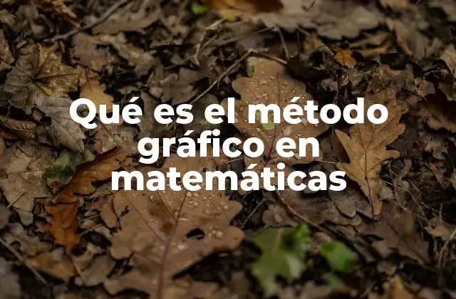 Qué es el Método Gráfico en Matemáticas