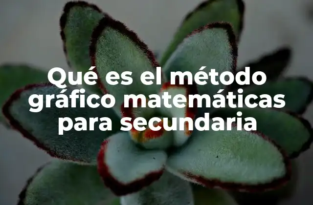 Qué es el Método Gráfico Matemáticas para Secundaria