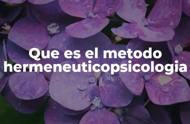 Que es el Metodo Hermeneuticopsicologia
