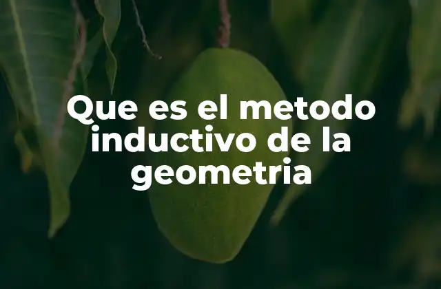 Que es el Metodo Inductivo de la Geometria