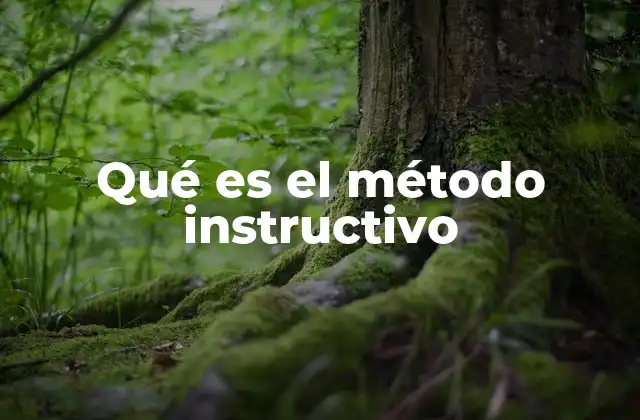 Qué es el Método Instructivo
