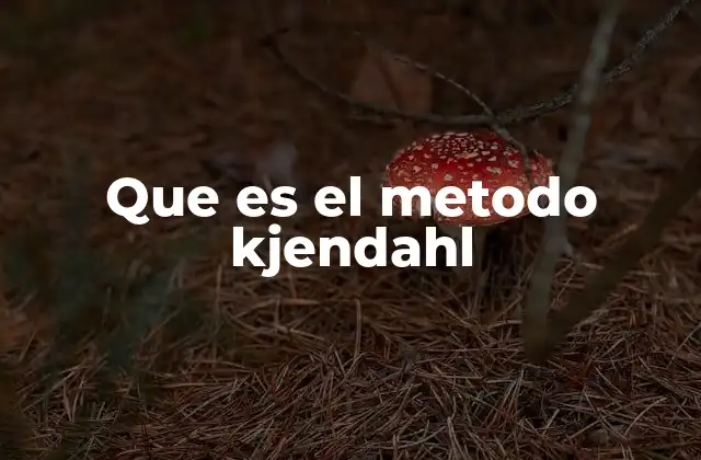 Que es el Metodo Kjendahl