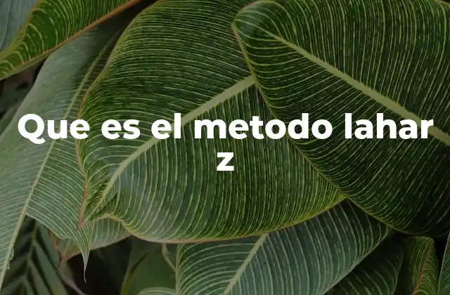 Que es el Metodo Lahar Z