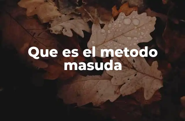 Que es el Metodo Masuda