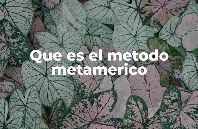 Que es el Metodo Metamerico
