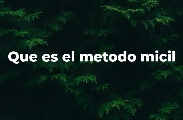 Que es el Metodo Micil