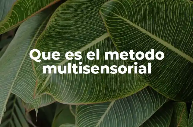 Que es el Metodo Multisensorial