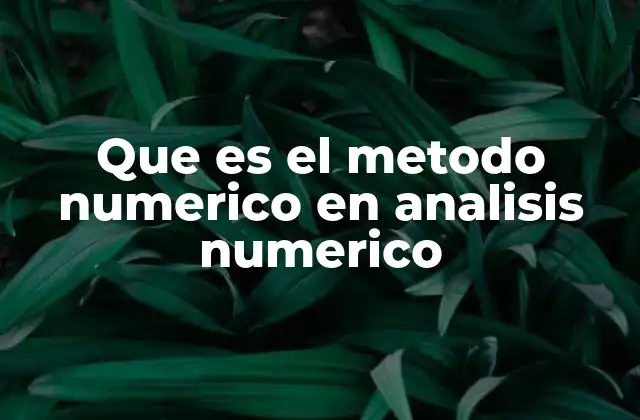El papel del cálculo en el análisis numérico