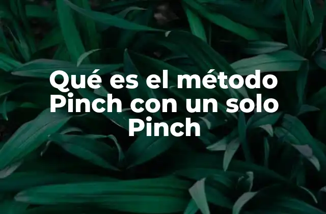 Qué es el Método Pinch con un Solo Pinch