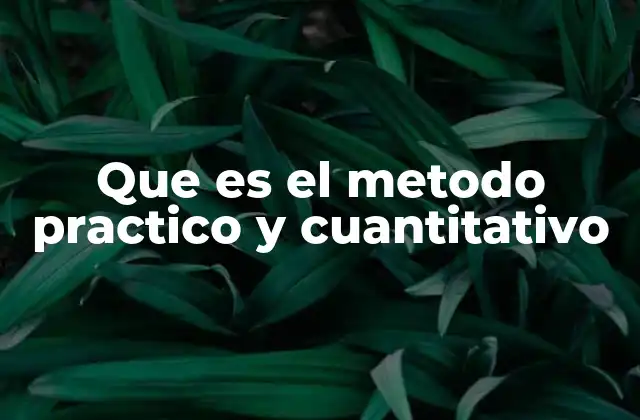 Que es el Metodo Practico y Cuantitativo