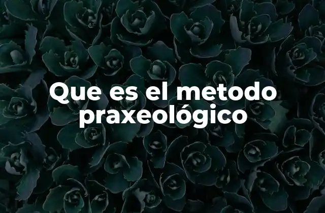 Que es el Metodo Praxeológico