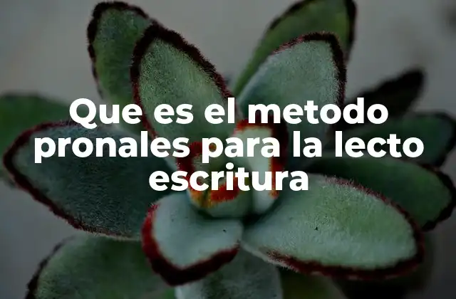 Que es el Metodo Pronales para la Lecto Escritura