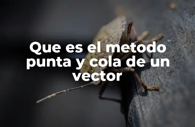 Que es el Metodo Punta y Cola de un Vector