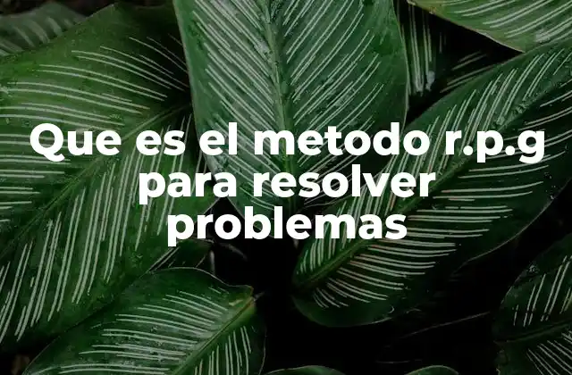 Que es el Metodo R.p.g para Resolver Problemas