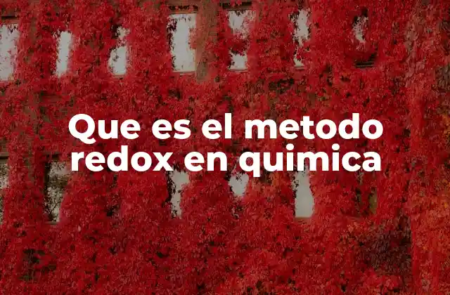 Que es el Metodo Redox en Quimica