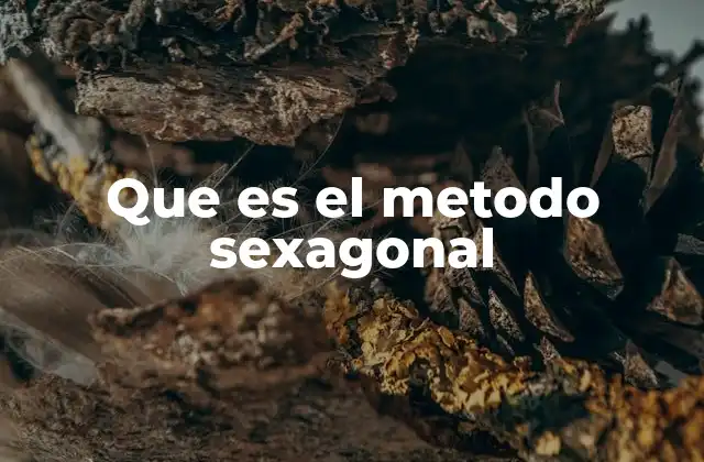 Que es el Metodo Sexagonal