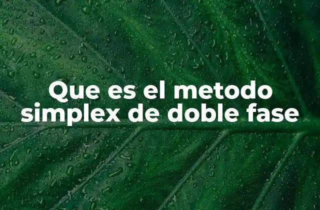 Que es el Metodo Simplex de Doble Fase