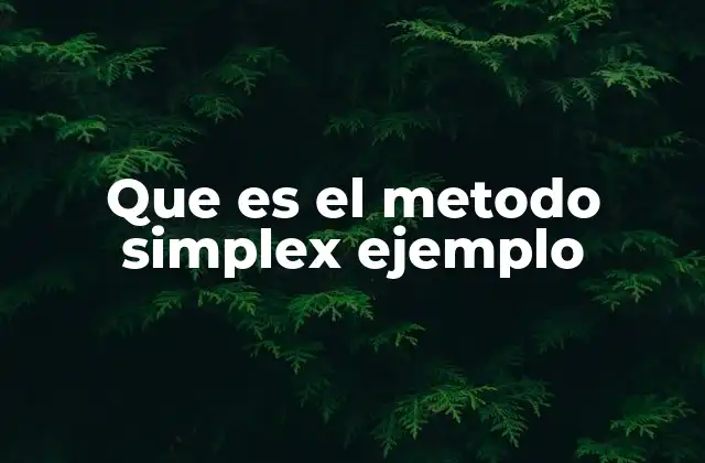 Que es el Metodo Simplex Ejemplo