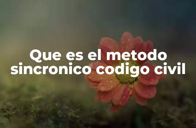 Que es el Metodo Sincronico Codigo Civil