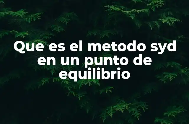 Que es el Metodo Syd en un Punto de Equilibrio