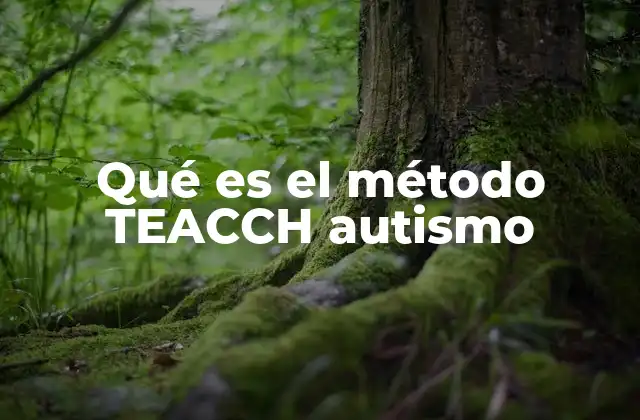 Qué es el Método Teacch Autismo