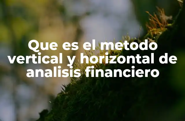 Que es el Metodo Vertical y Horizontal de Analisis Financiero