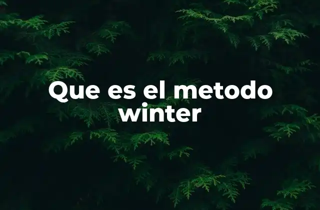 Que es el Metodo Winter