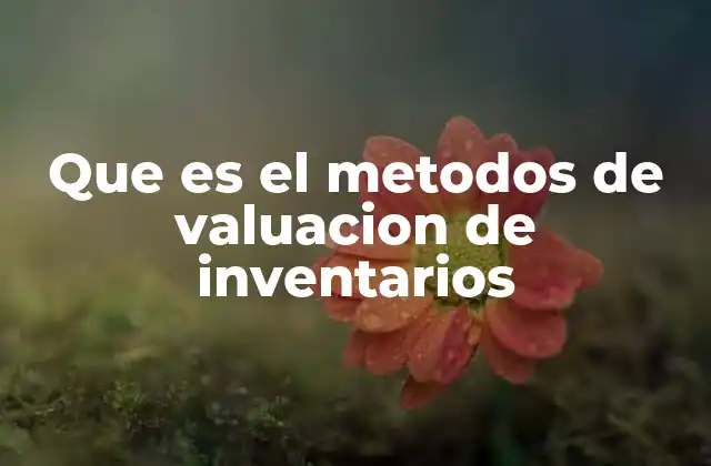 Que es el Metodos de Valuacion de Inventarios