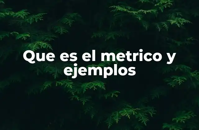 Que es el Metrico y Ejemplos