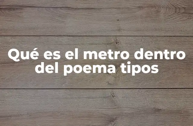 Qué es el Metro Dentro Del Poema Tipos