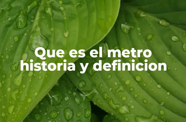 Que es el Metro Historia y Definicion