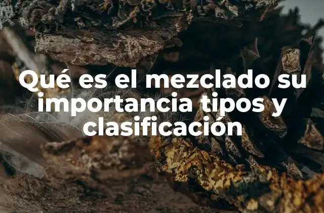 Qué es el Mezclado Su Importancia Tipos y Clasificación