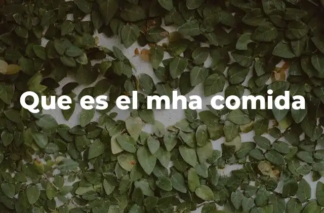 Que es el Mha Comida