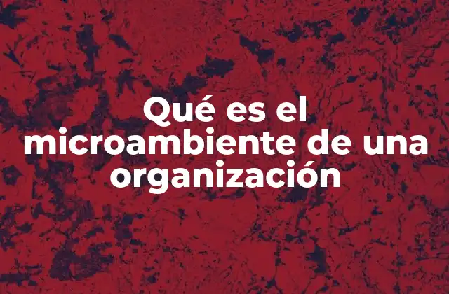Qué es el Microambiente de una Organización
